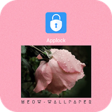 com.applock.pei.pinkrose