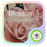 com.jiubang.goscreenlock.theme.blossom