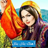 co.ad.balalbakhtiari