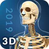 com.visual3dscience.skeleton