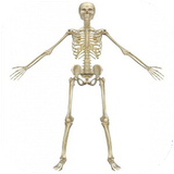 didar.ostokhanvamafasel