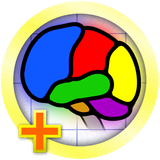 hamed.learnstu.fish.rings