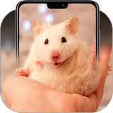 com.panic.bubbles.cute.hamster.background.wallpapers