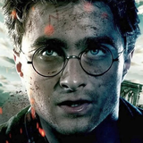 nassaji.harry.potter