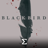 com.enigma.series.black_bird