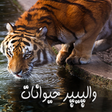 com.Anjel.WallAnimaals