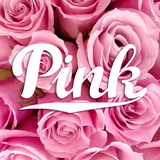 team.developer.pinkwallpaper