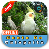 br.gudangapp.cantodecalopsita