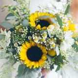 brightstar.wallpaper.bunchFlowers