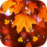 com.wallpaper.sam.tim997.mapledroplets