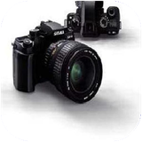 shafagh.janrhayakkasi