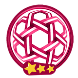 desertstars.afcasiancup2019