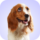 com.leafgreen.dogwhining