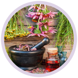 ir.ziba.giyahdarmani