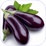 ghotbi.ghazababademjan