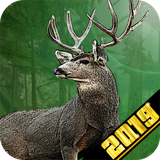 com.tystudio.deerhunterreloaded2016