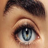 com.txtApi24novinsoft99.danestanihayecheshm