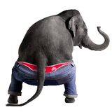 com.mobobi.dancingtalkingelephants