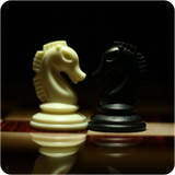 com.gamesappstudio.chess