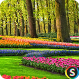 com.Sadroid.Wallpaper.Spring