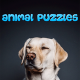 animal.kisds.games.cards.wild.sounds.minizoo.animalsgame