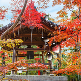 com.amaxlwps.zengarden