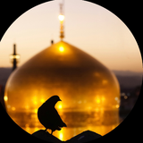 ir.meydroid.mashhadzaer