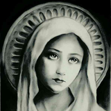 ir.maryam_moghaddas.amir.mardani