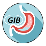 ir.salamatshargh.gib