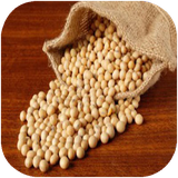 ghotbi.hobobatvasalamat