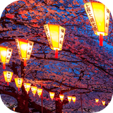 ir.tinasoft.japanese_at_home