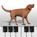 com.lilasgames.dogpiano