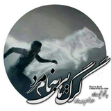 ir.ali.gholami.gorbenammard