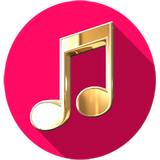 ir.amrali.musicplayer