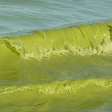 ir.kasbe.daramad.az.parvaresh.jolbak