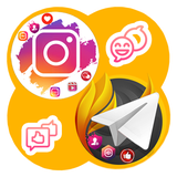 datisir.followmember.shop3