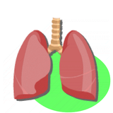 appinventor.ai_ejerciciosmatematicas_es.lungsounds