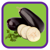 com.khodemooni.bademjan