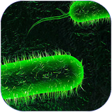 parvaz.bimariyarghanvavaba