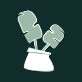 dev_golinja.com.woocommerce