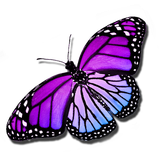 application.WomanCalendarLite.nature