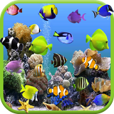 aquariumvideowallpaper.avs.com