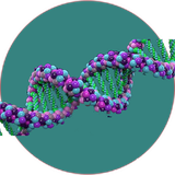 com.khorshid_tx.zhen