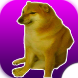com.memesapps.cheemsdogememedogstickerswastickerapps