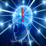 anche.rake.nemidanestid