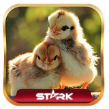 amozesh.sakhte.dastghahe.jojeh.keshi