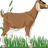 com.shan.animals.book.lite