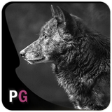 com.persiagraph.andvier2017_wolf