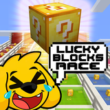 com.mineplex.pixelgun.luckyblocksrace