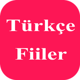 com.dalgasozluk.verbs